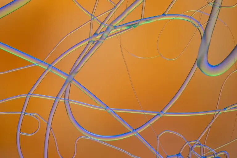 Primary Age-Related Tauopathy Explained